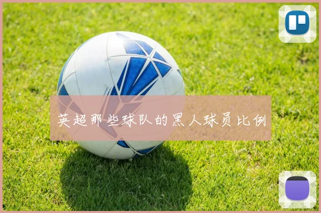 英超那些球队的黑人球员比例
