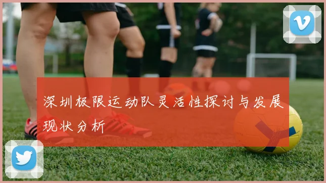 深圳极限运动队灵活性探讨与发展现状分析